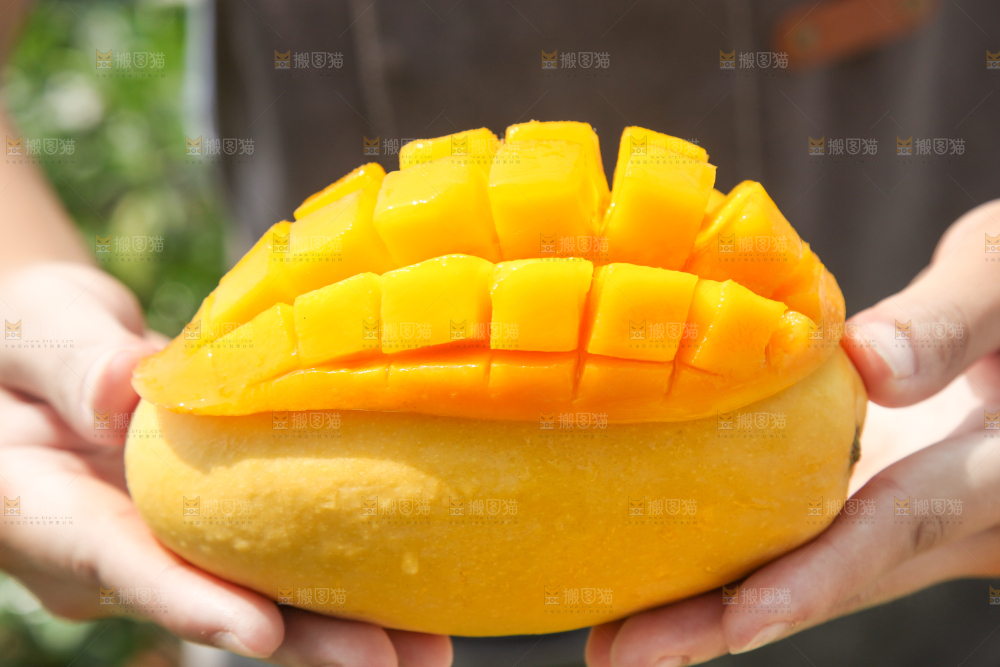 手里拿着芒果