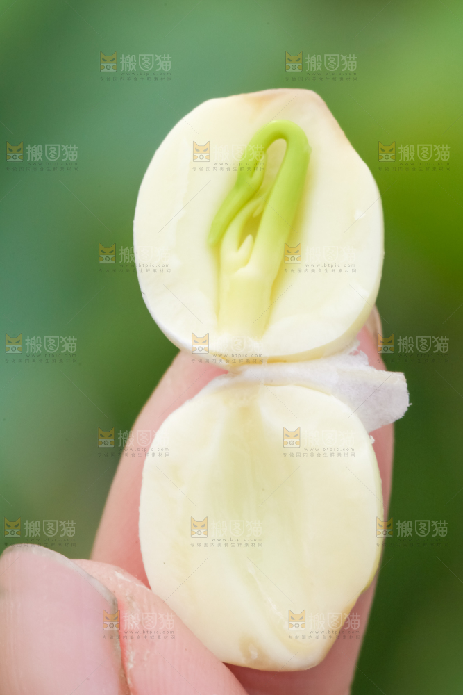 手里拿着莲子