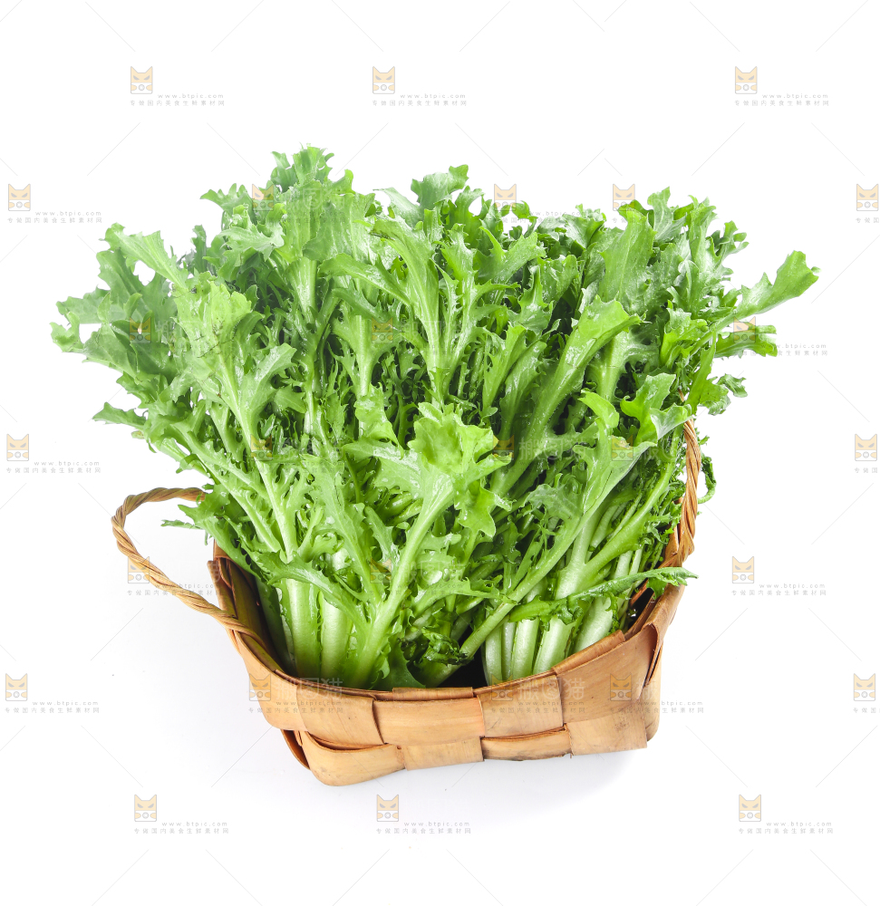 篮子里装着苦菊