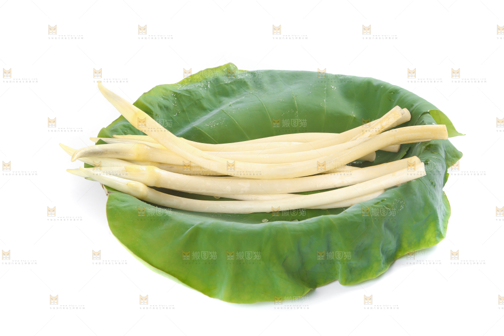 荷叶上放着新鲜藕带
