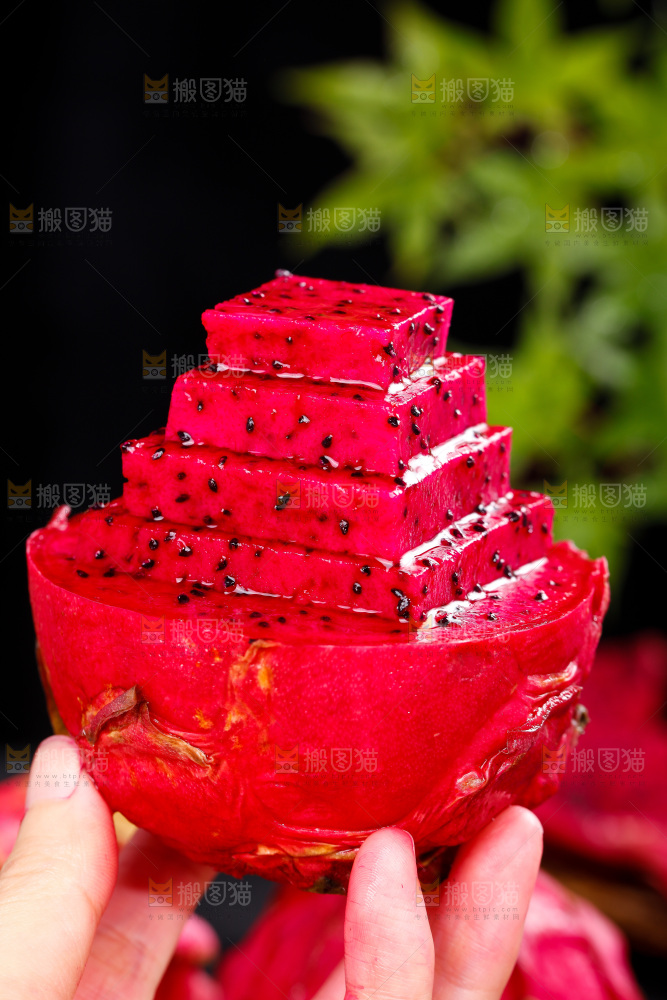 手里拿着火龙果