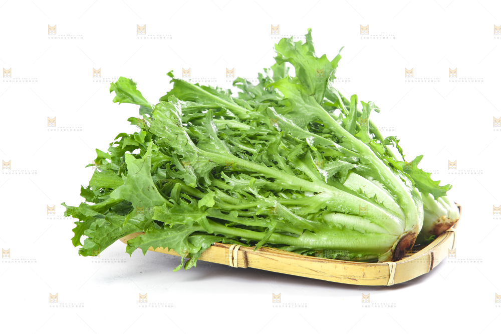 篮子里装着苦菊