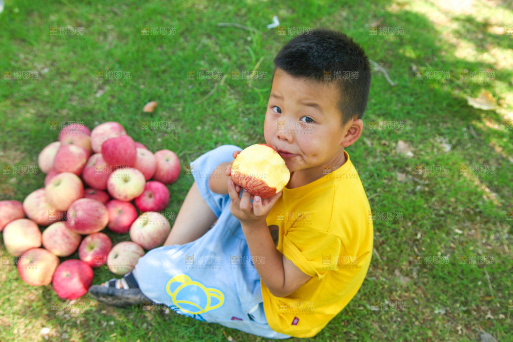 小男孩正在吃苹果
