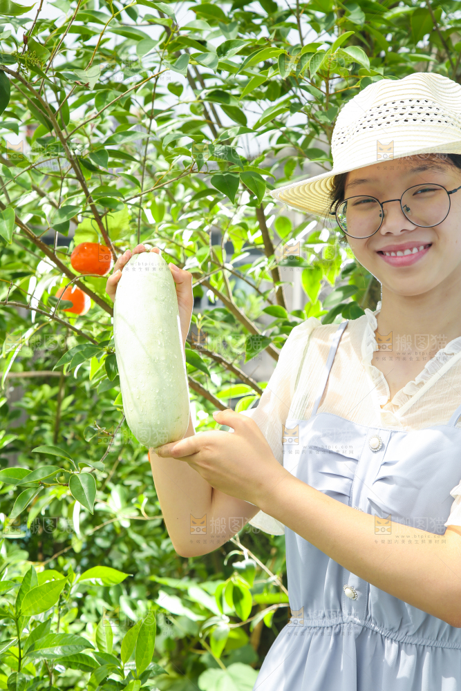 手里拿着山东羊角蜜