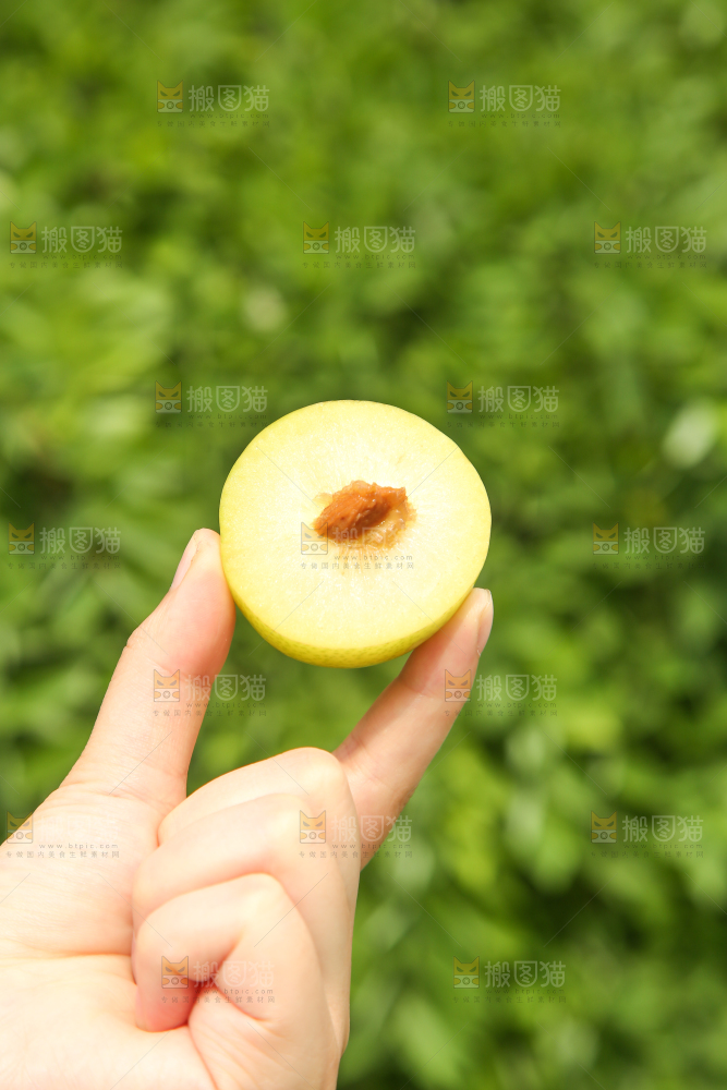 手里拿着黄金奈李
