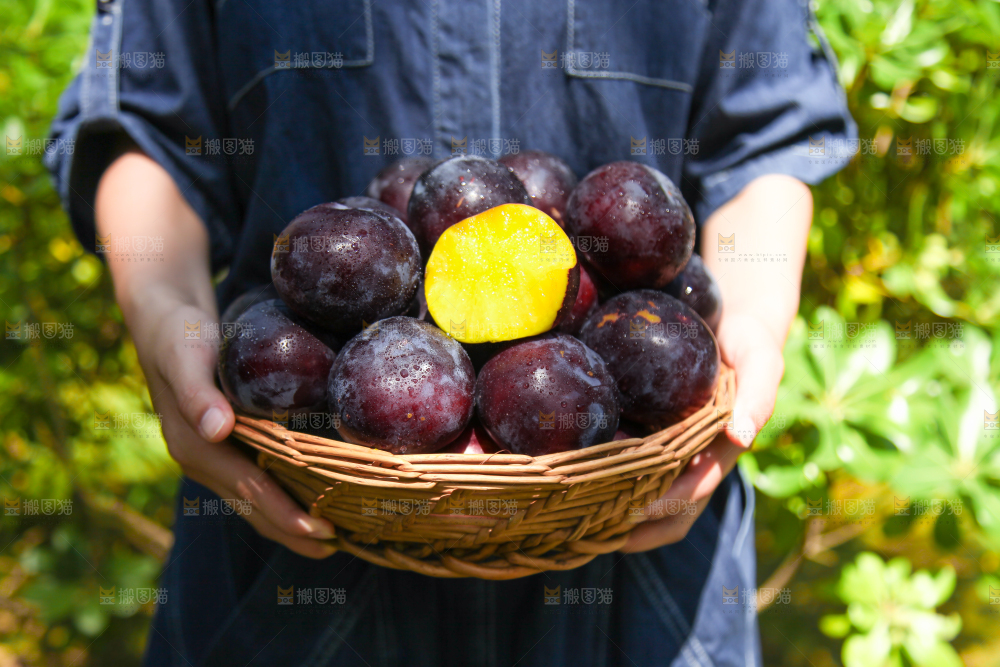 手里端着一篮黑布李
