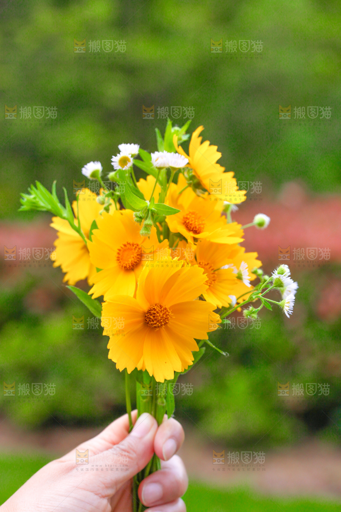手里拿着花朵