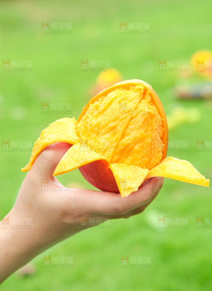 手里拿着苹果芒