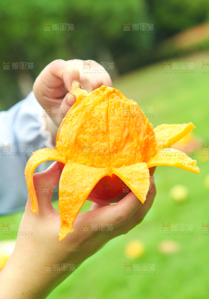 手里拿着苹果芒