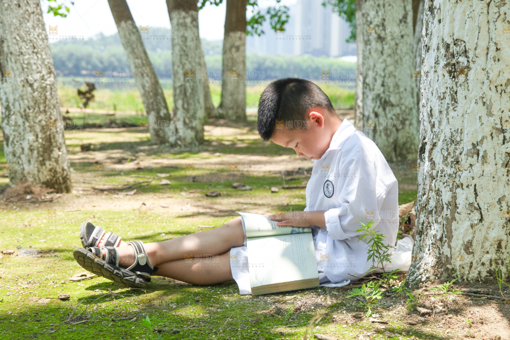 小男孩正在看书
