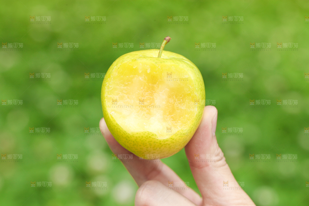 手里拿着黄金奈李