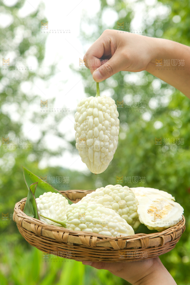手里拿着一篮苹果苦瓜