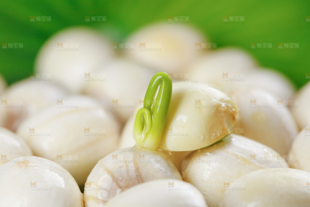 摆放着一堆剥皮的莲子