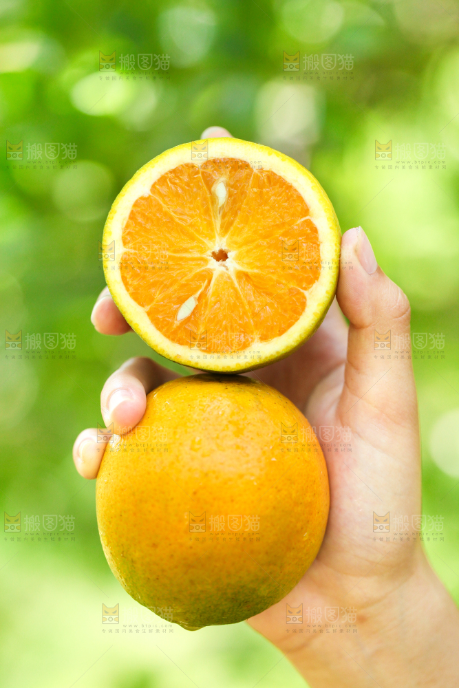 手里拿着秭归夏橙