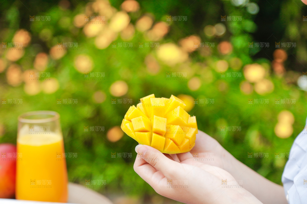 手里拿着芒果