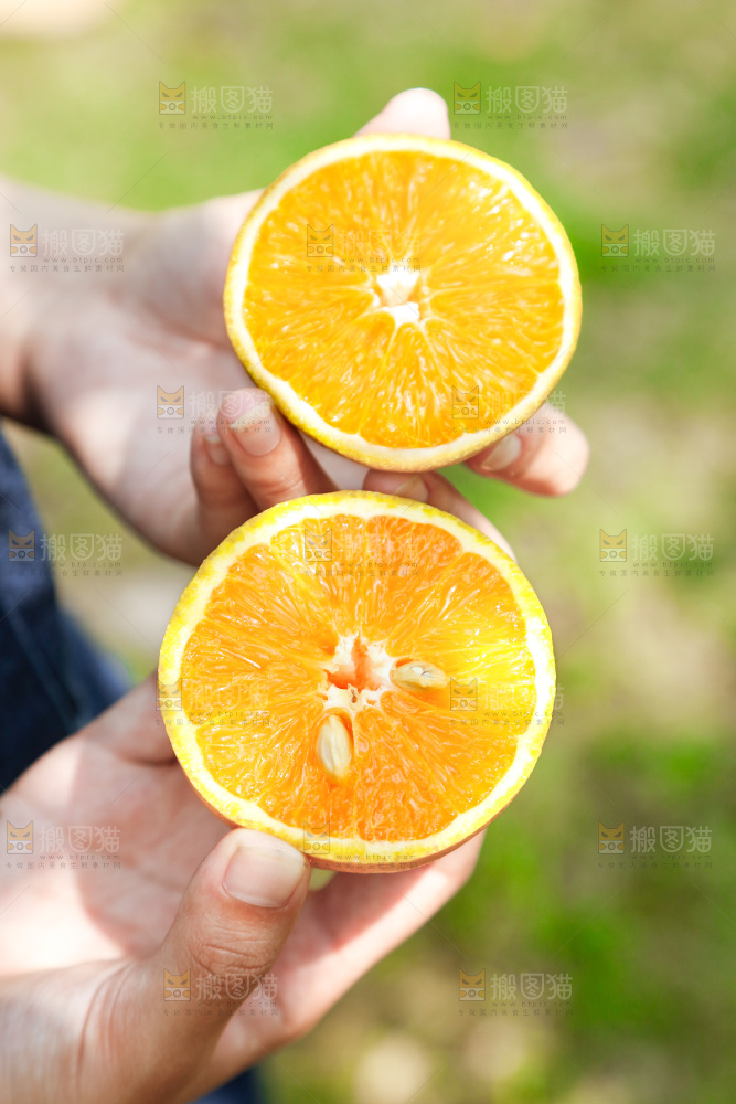手里拿着新鲜夏橙
