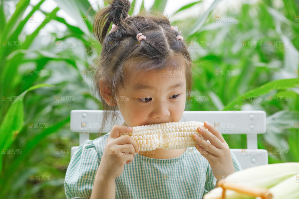 小女孩正在吃牛奶水果玉米