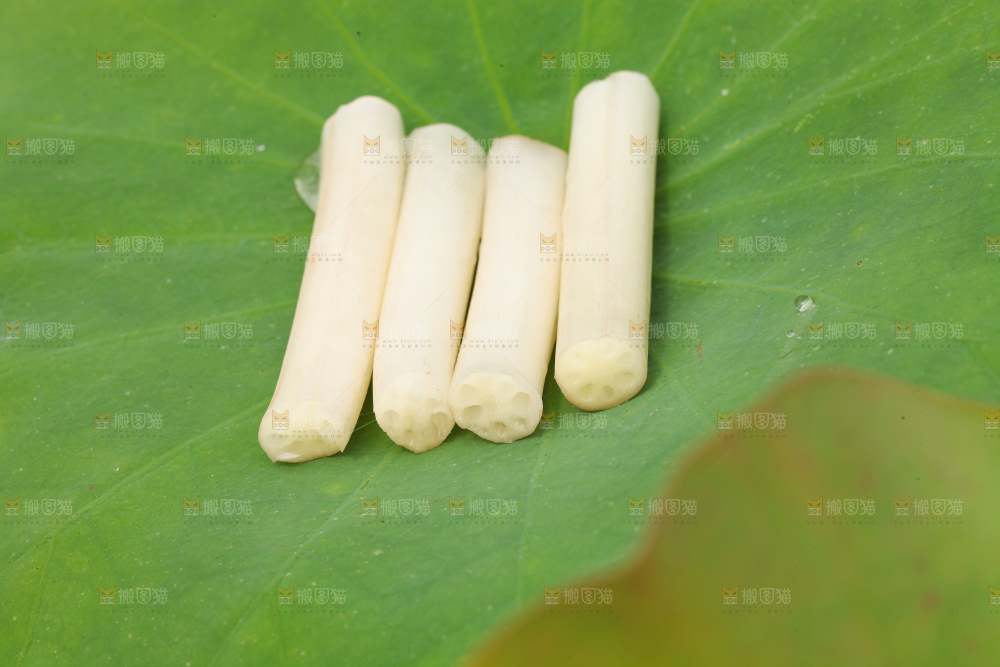 荷叶上放着藕带