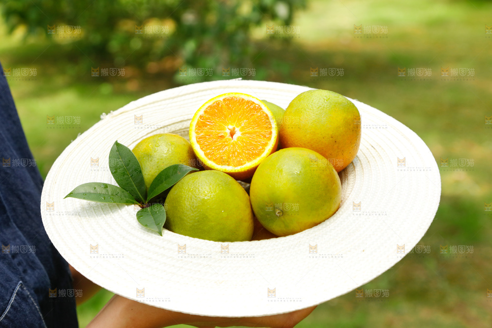 帽子里装着夏橙