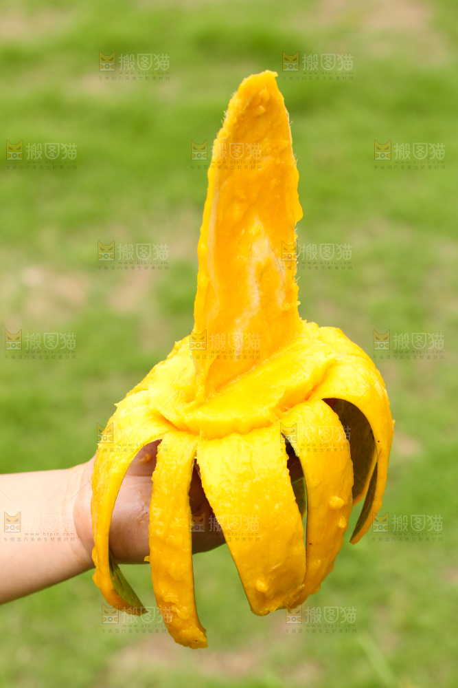 手里拿着青芒