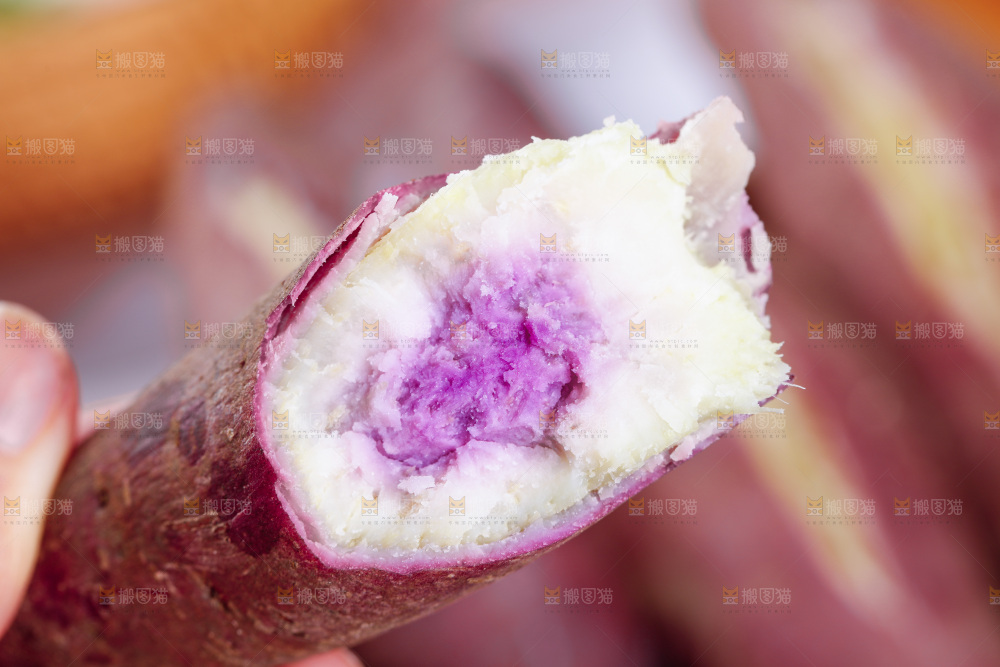 手里拿着红薯