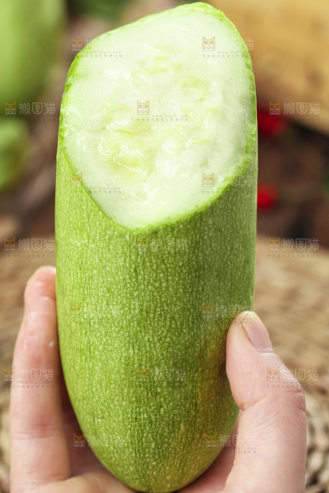 手里拿着茭瓜
