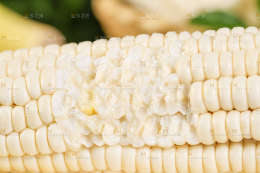 黑底上放着白玉米