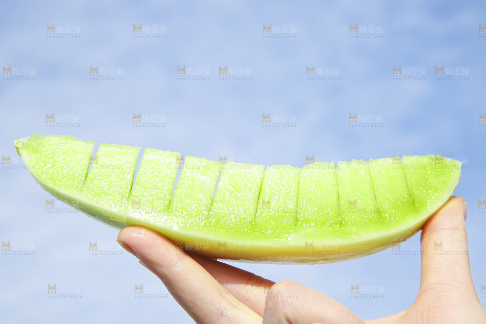 手里拿着玉菇香瓜