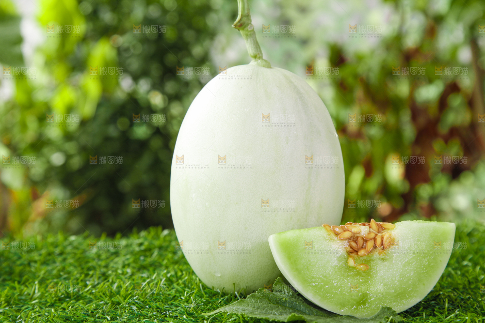 绿草地上摆放着玉菇甜瓜