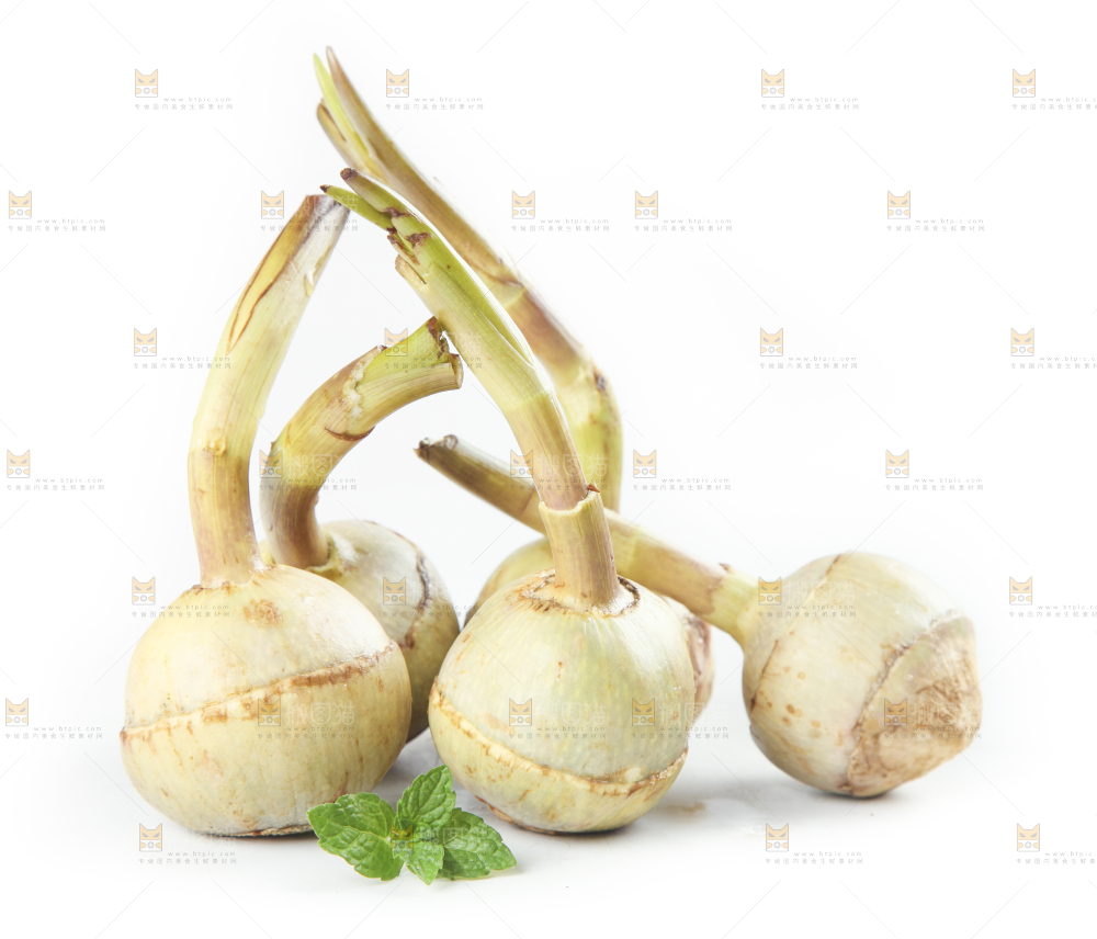 白底上放着茨菇