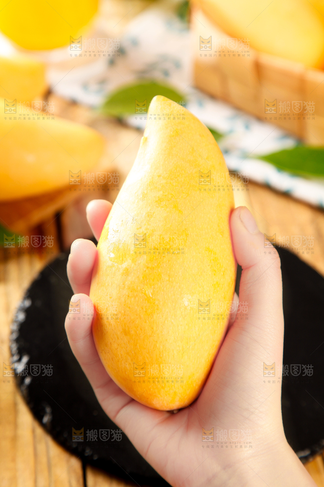 鹰嘴芒