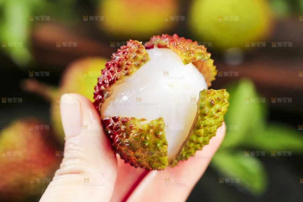 妃子笑荔枝