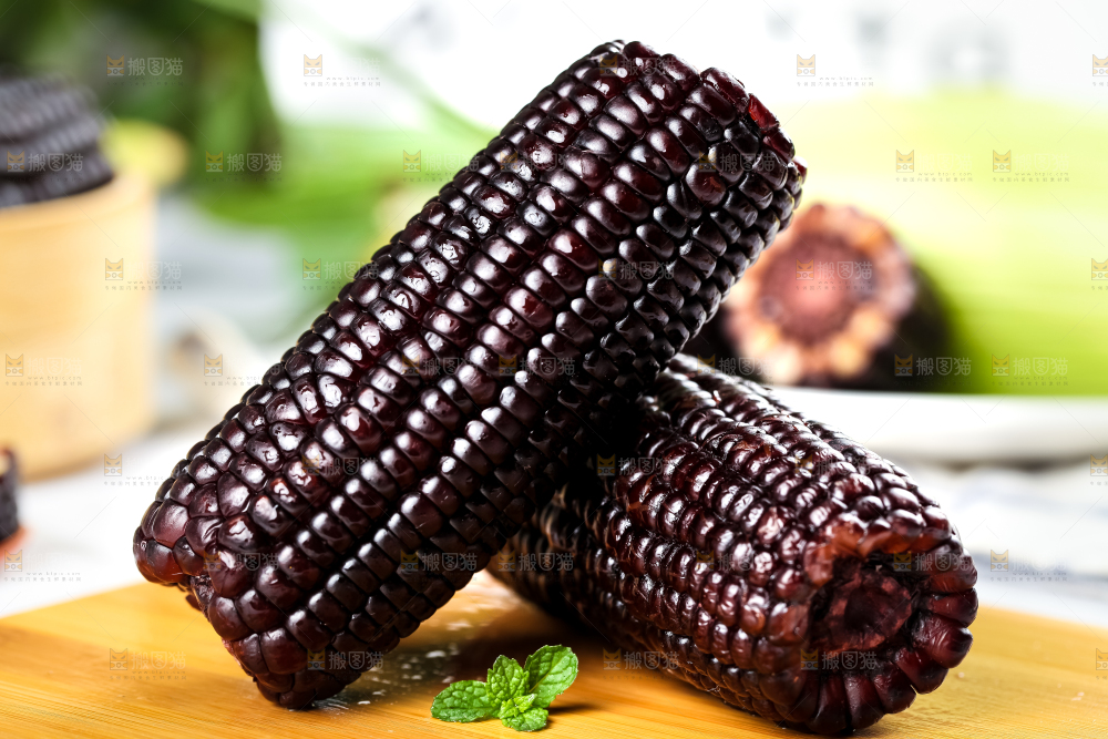 木底上摆放着东北黑玉米