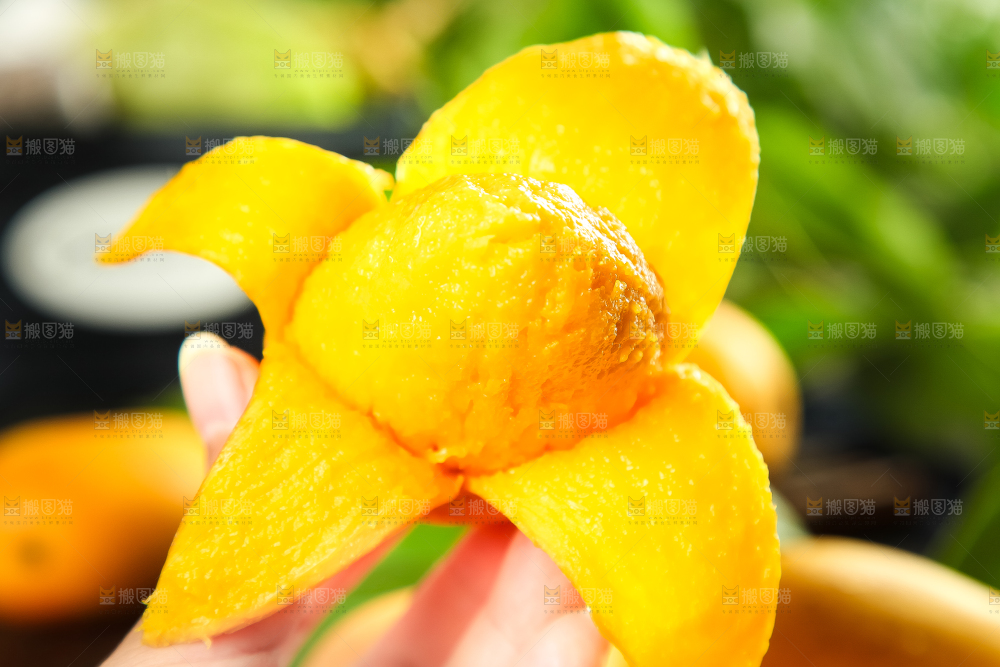 手里拿着小台芒