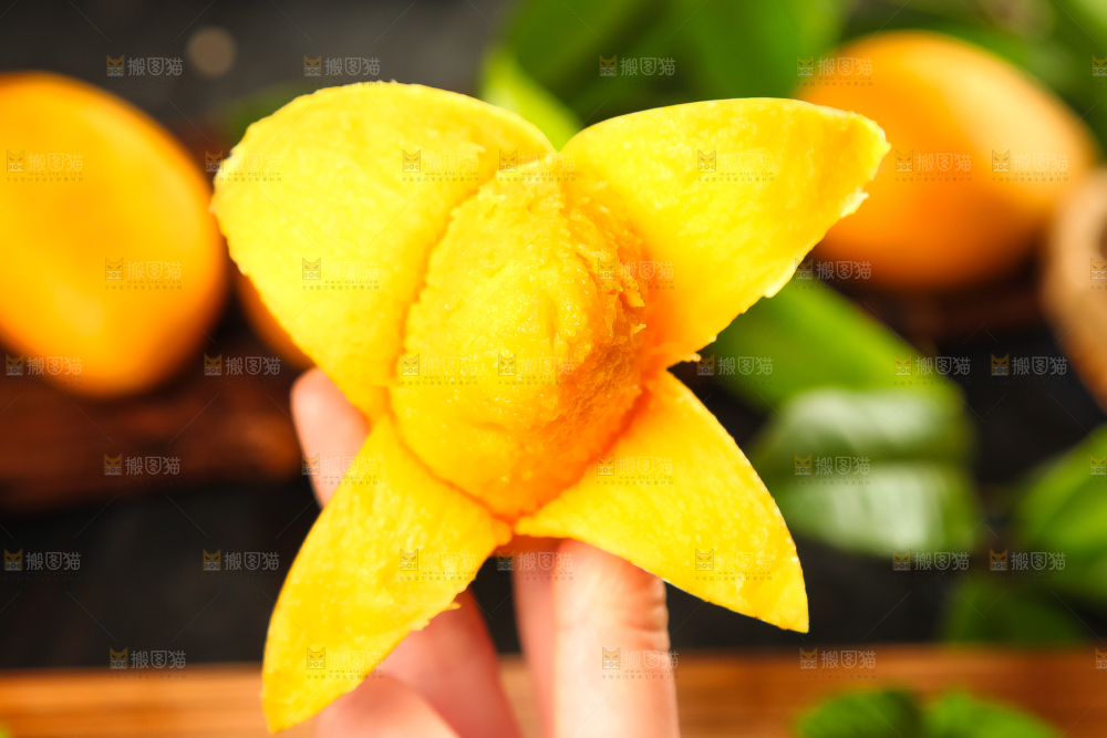 手里拿着小台芒