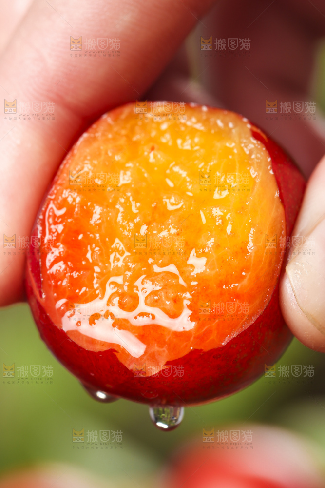 手里拿着脆李子