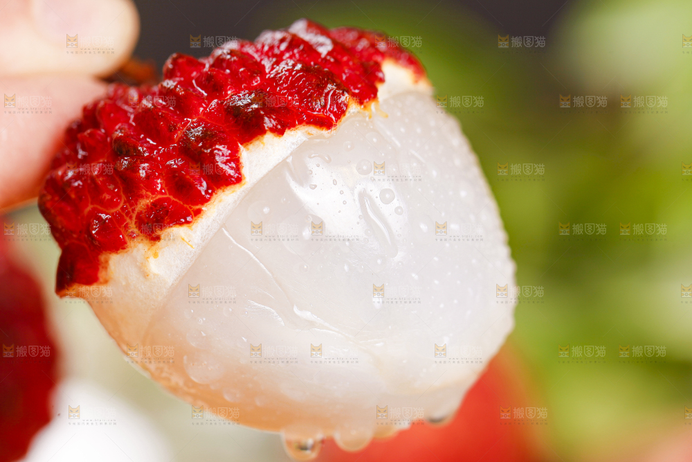 手里拿着新鲜荔枝王