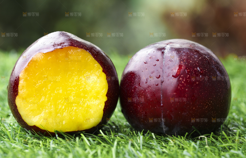 绿草地上摆放着新鲜黑布林