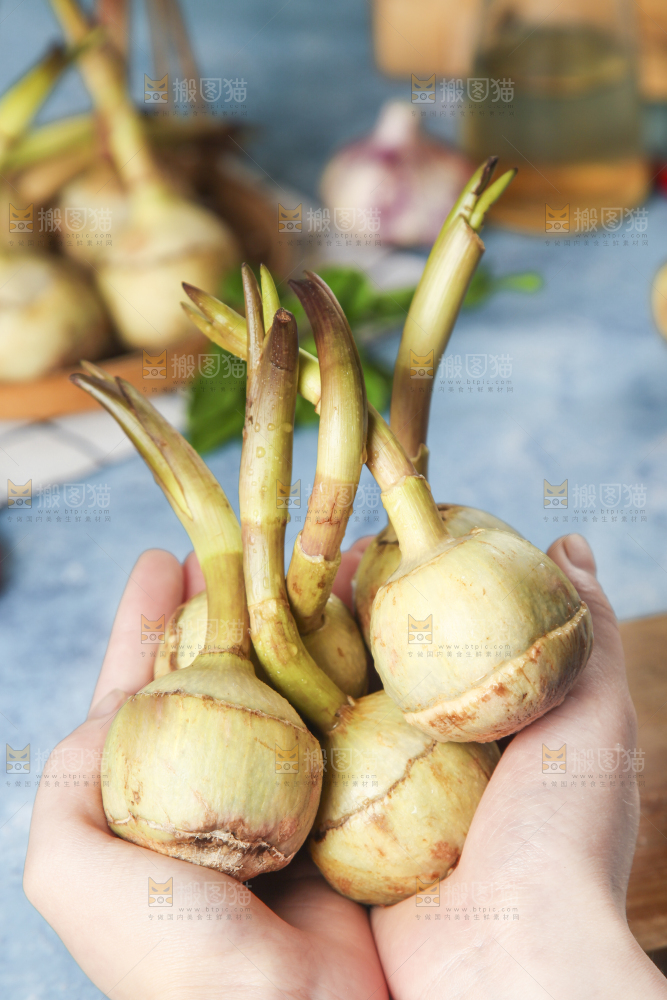 手里捧着白慈菇