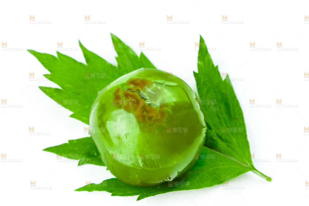 绿叶上放着艾草青团