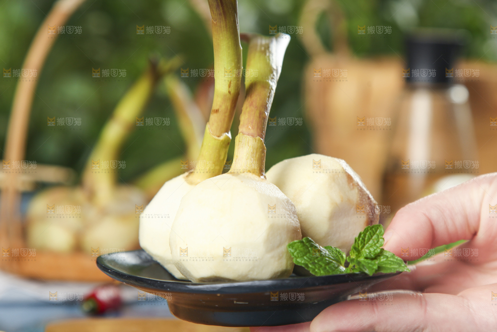 手里拿着白慈菇