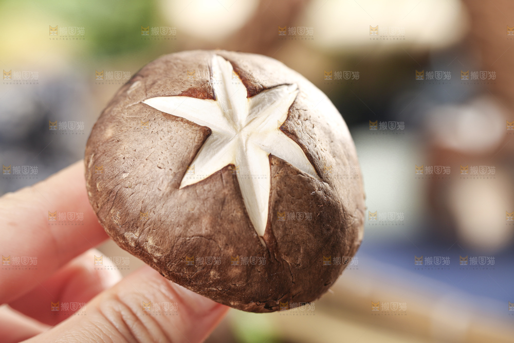 手里拿着菌菇