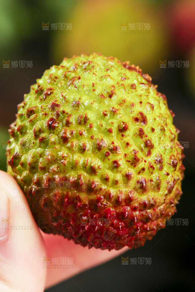手里拿着荔枝