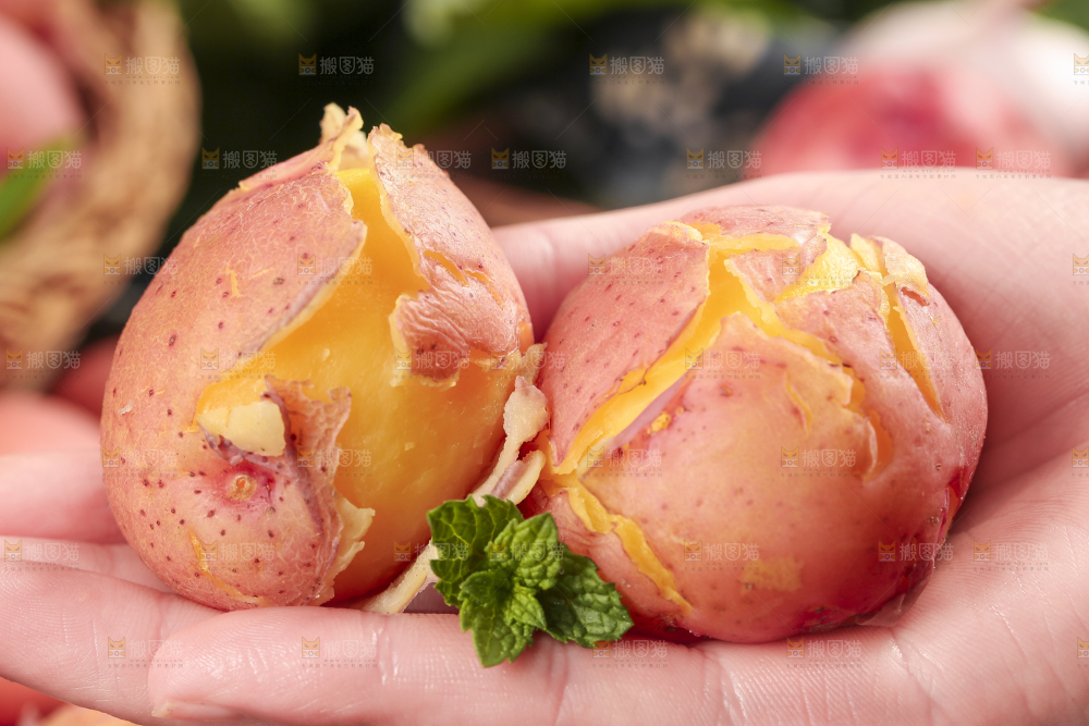 手里拿着红皮土豆