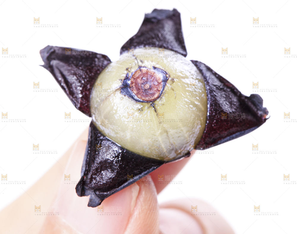 手里拿着蓝莓果