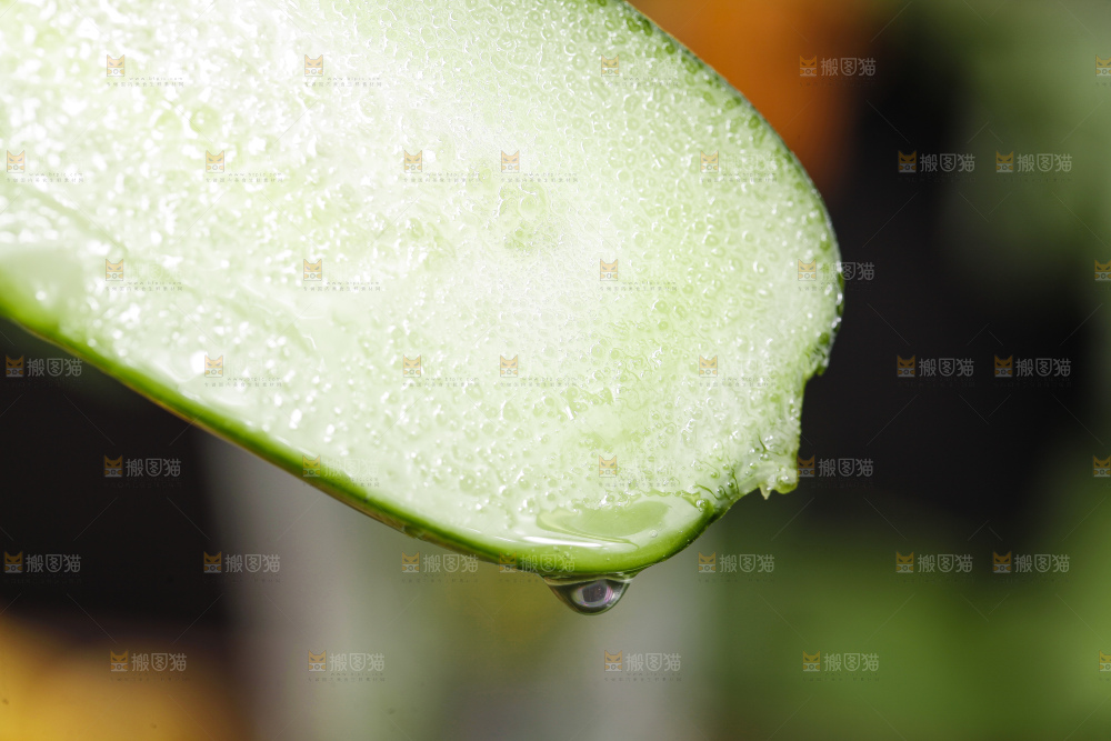浅底上切开的嫩黄瓜