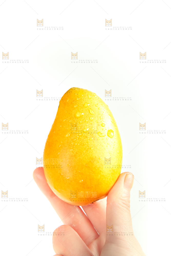 手里拿着小台芒
