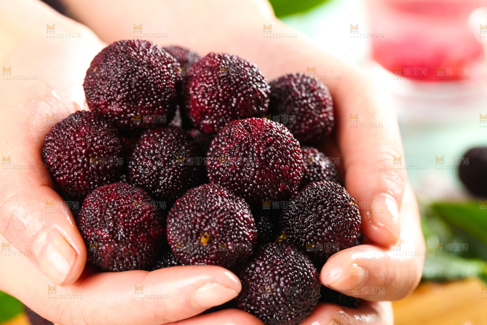 手里拿着杨梅