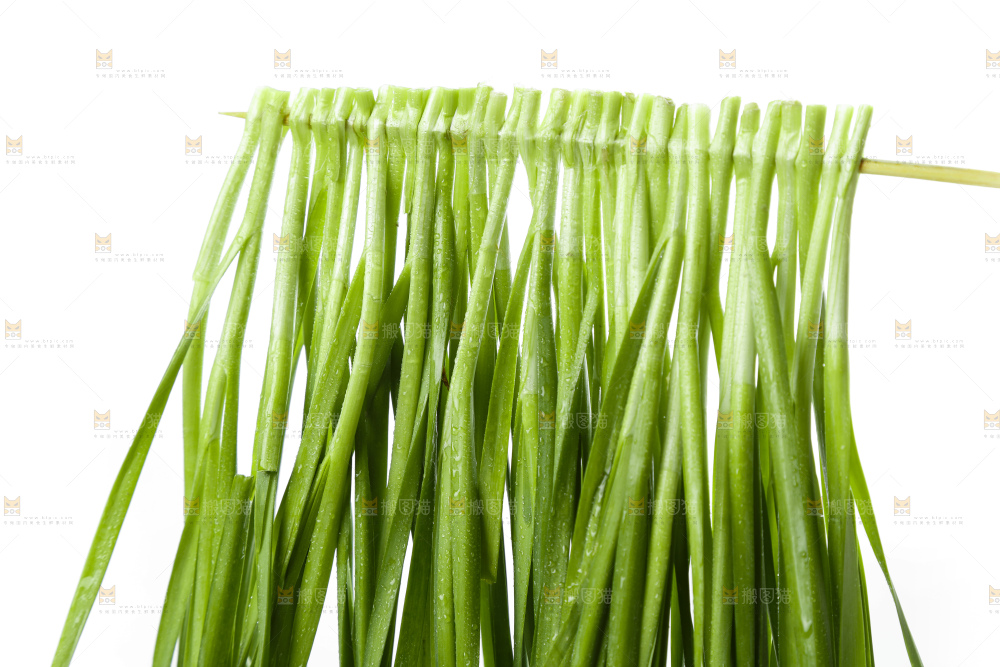 竹签上串着新鲜韭菜