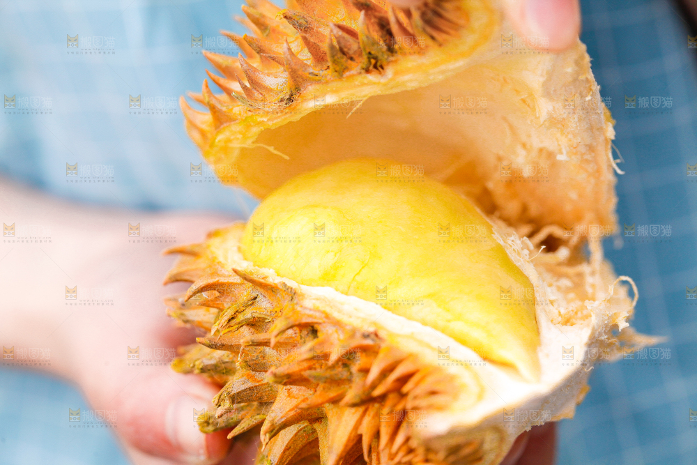 手里拿着榴莲